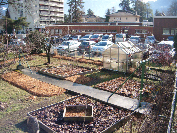 Organisation au potager